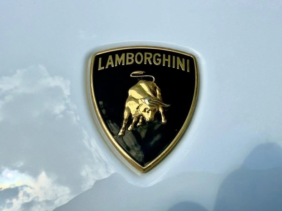 2012 Lamborghini Gallardo - Image 5 of 20