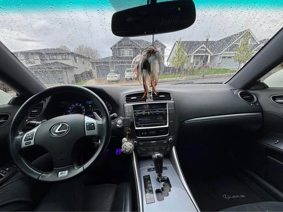 2012 Lexus IS 2nd Gen - Image 6 of 10