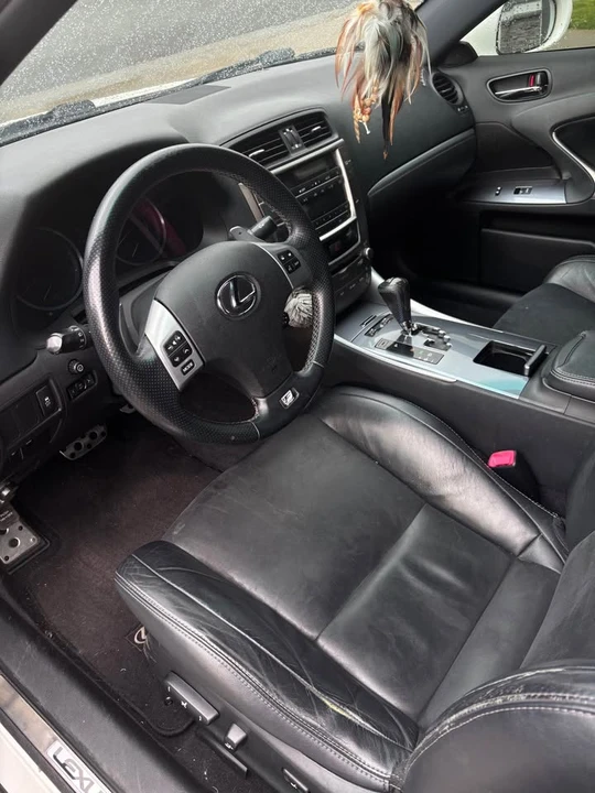 2012 Lexus IS 2nd Gen - Image 5 of 10