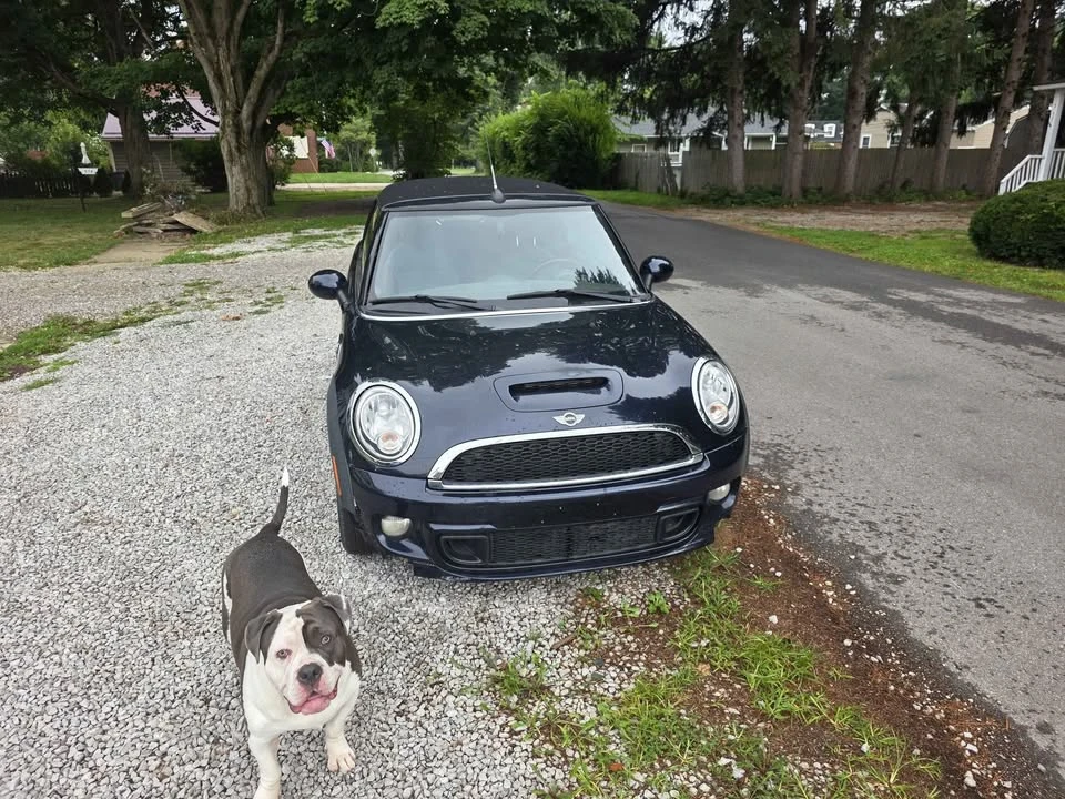 2012 Mini Mini 2nd Gen - Image 2 of 8