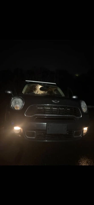 2012 Mini Mini 2nd Gen - Image 2 of 5