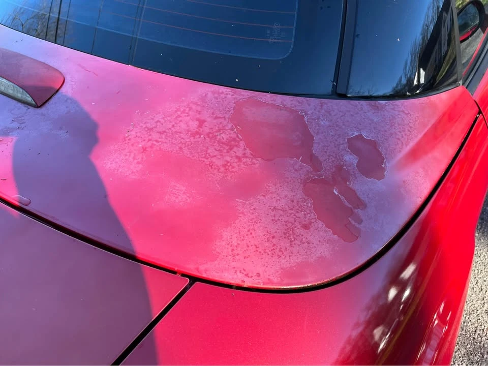 2012 Mazda NC MX-5 Miata - Image 4 of 9