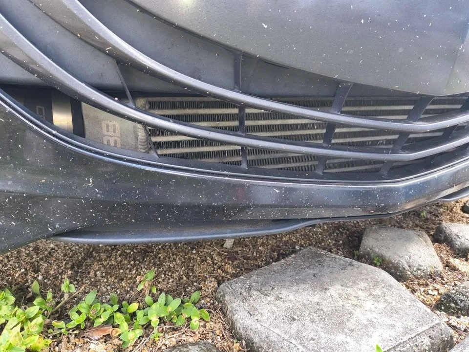 2012 Mazda Mazdaspeed 3 2nd Gen - Image 5 of 9