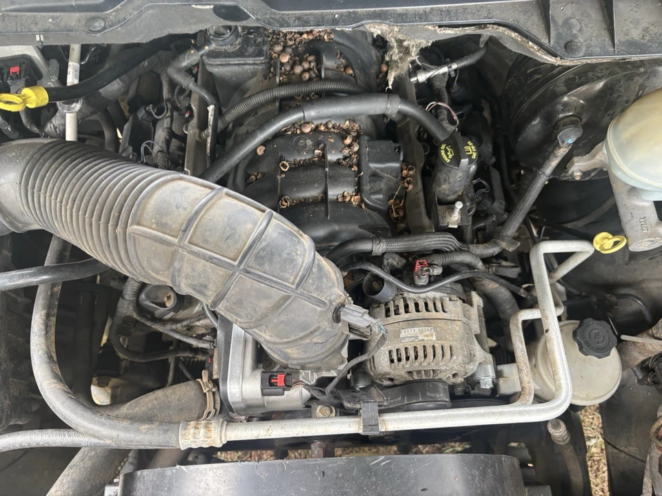 2012 Ram 1500 1st Gen - Image 12 of 12