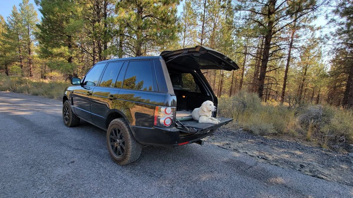 2012 Land Rover Range Rover L322 - Image 2 of 10