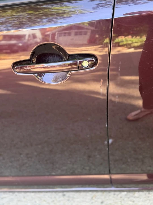 2012 Scion xB - Image 12 of 13