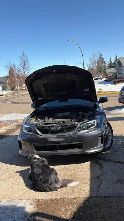 2012 Subaru Impreza WRX 3rd Gen - Image 9 of 9