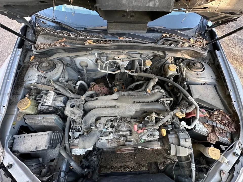 2012 Subaru Impreza WRX 3rd Gen - Image 14 of 16