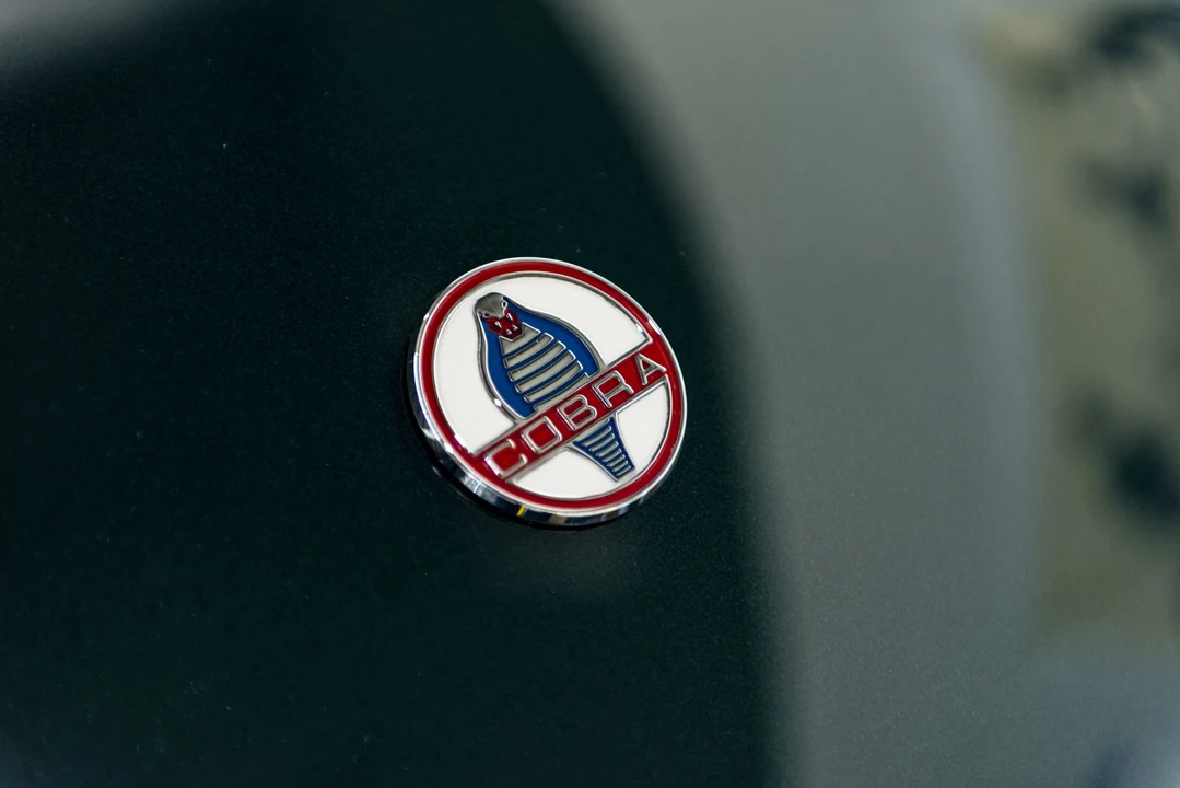 2012 Shelby Cobra Replica - Image 16 of 31