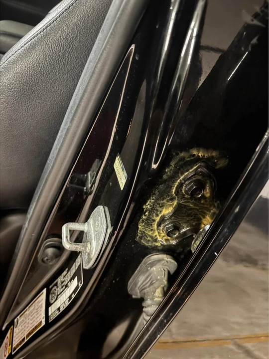 2012 Toyota 4Runner 5th Gen - Image 18 of 19