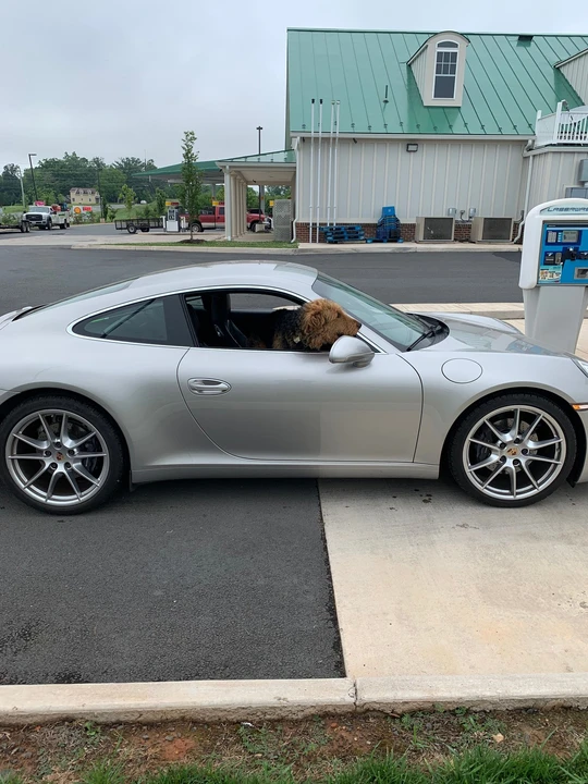 2013 Porsche 991 Carrera - Image 2 of 3