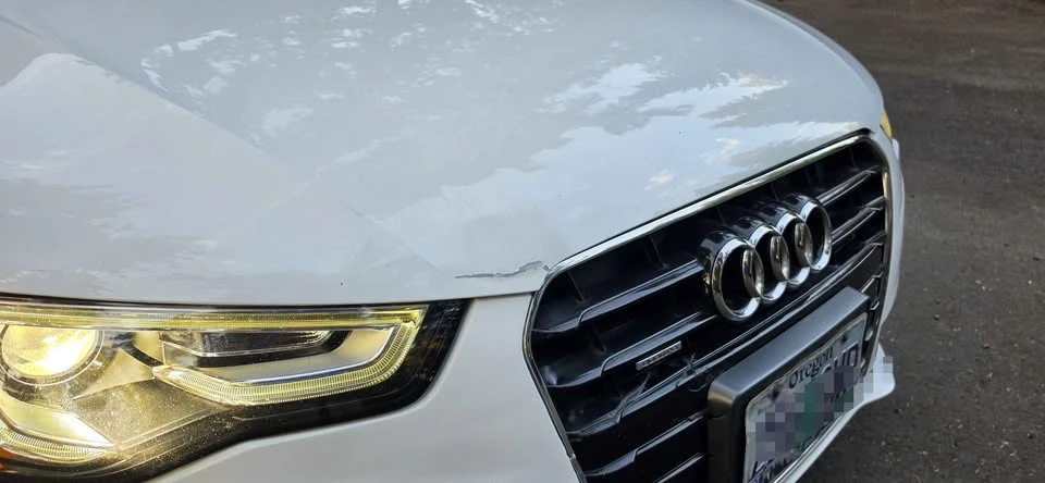 2013 Audi B8 A5 - Image 15 of 20