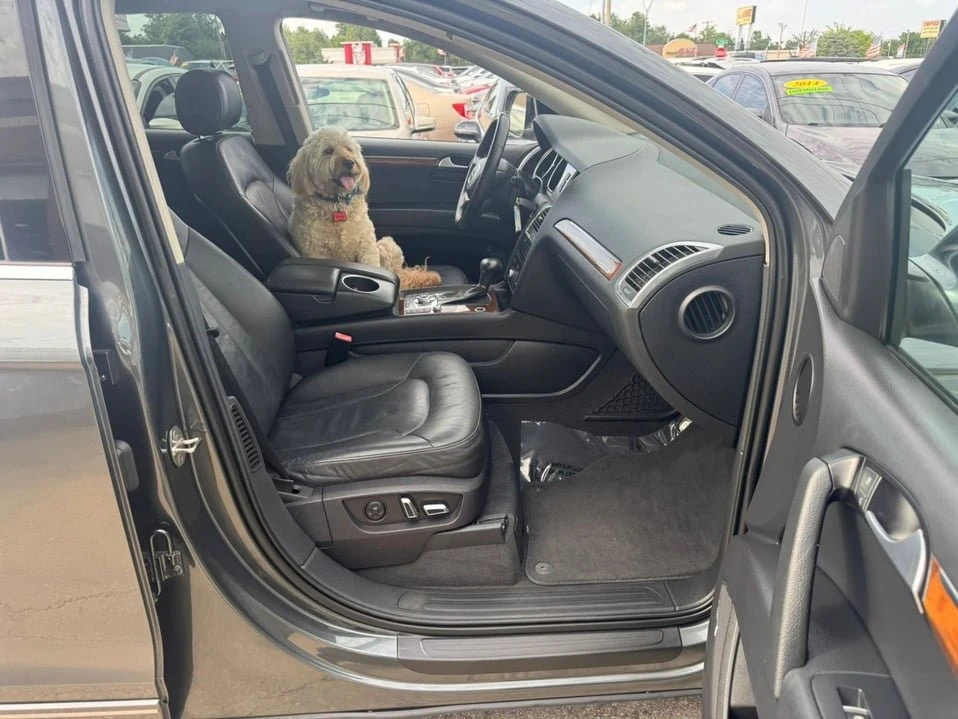 2013 Audi 4L Q7 - Image 12 of 20