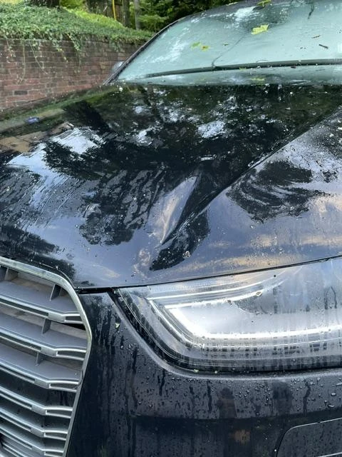 2013 Audi B8 S4 - Image 18 of 31