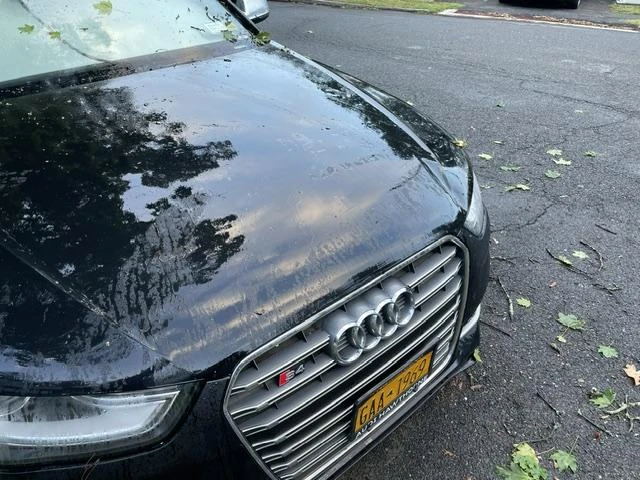 2013 Audi B8 S4 - Image 19 of 31