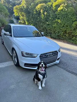 2013 Audi S4 Prestige Sedan 4D