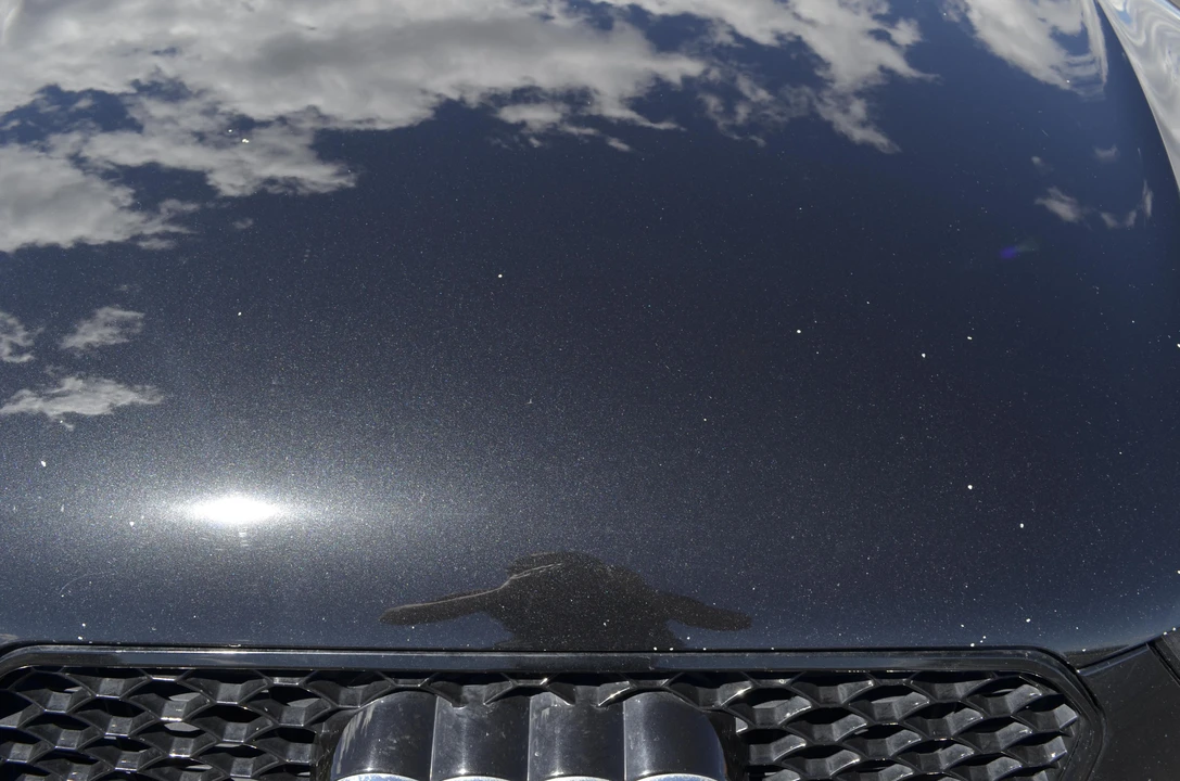 2013 Audi B8 S5 - Image 31 of 31