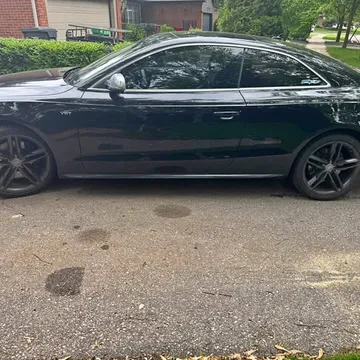 2013 Audi S5