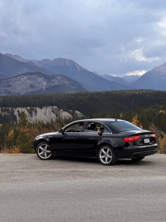 2013 Audi B8 A4 - Image 3 of 6
