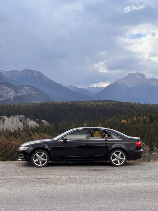 2013 Audi B8 A4 - Image 2 of 6