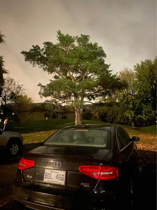 2013 Audi B8 A4 - Image 10 of 11