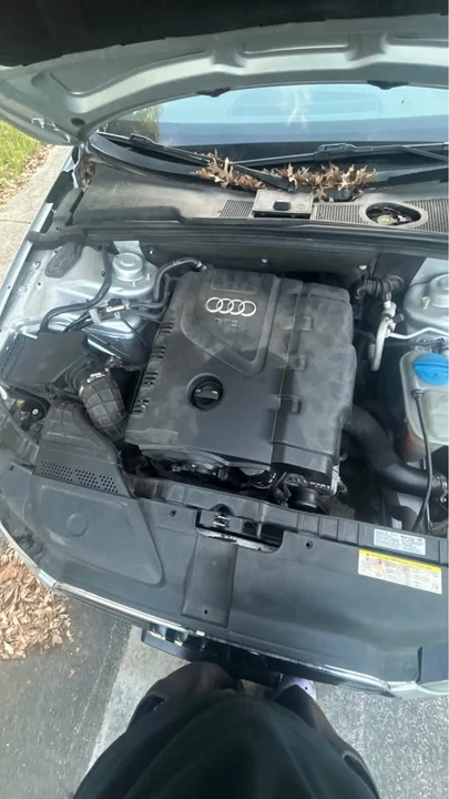 2013 Audi B8 A4 - Image 2 of 20