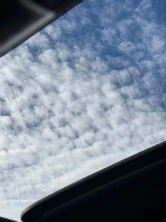2013 Audi 4L Q7 - Image 7 of 11