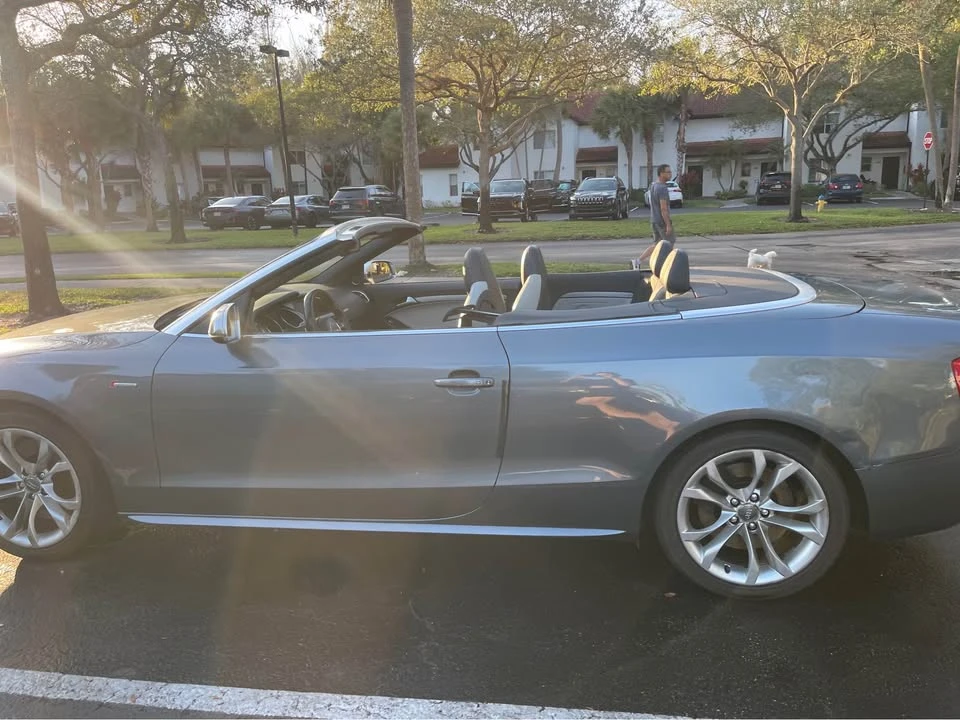 2013 Audi B8 S5 - Image 18 of 18