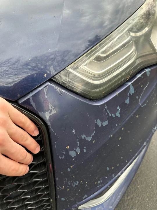 2013 Audi B8 S5 - Image 8 of 10