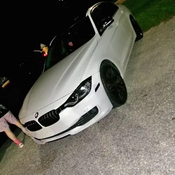 2013 BMW 3 Series 318i Sedan