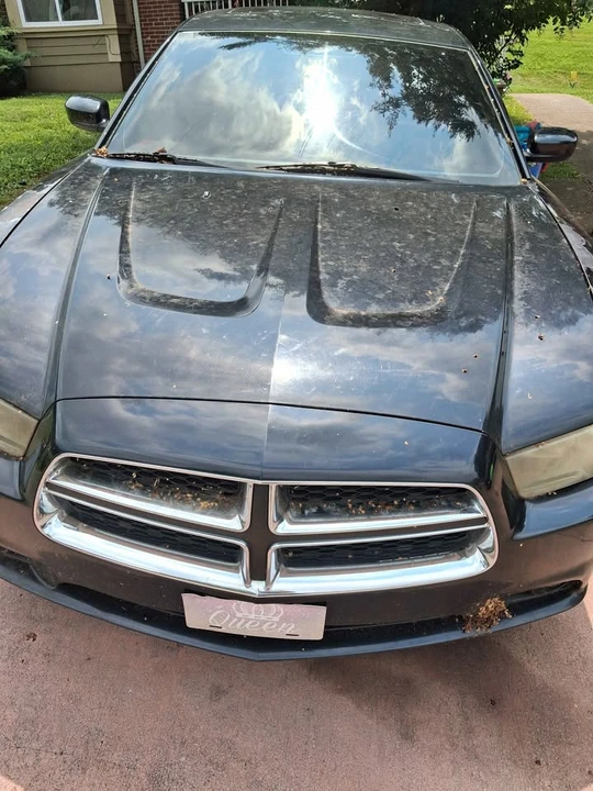2013 Dodge Charger 7th Gen - Image 7 of 7