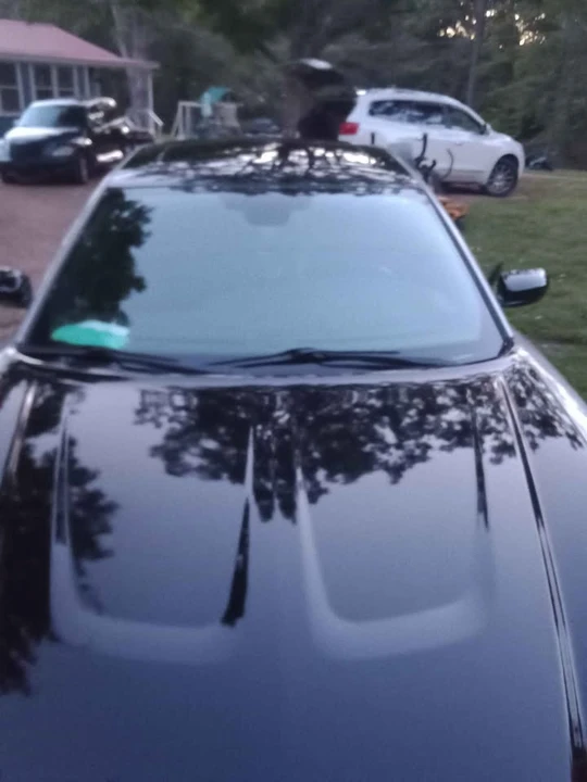 2013 Dodge Charger 7th Gen - Image 2 of 10