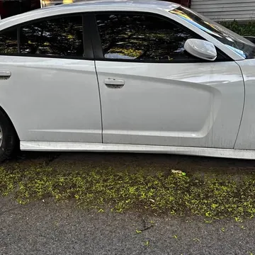 2013 Dodge Charger · SRT8 Sedan 4D