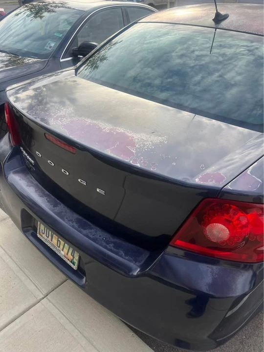 2013 Dodge Avenger Sedan - Image 7 of 15