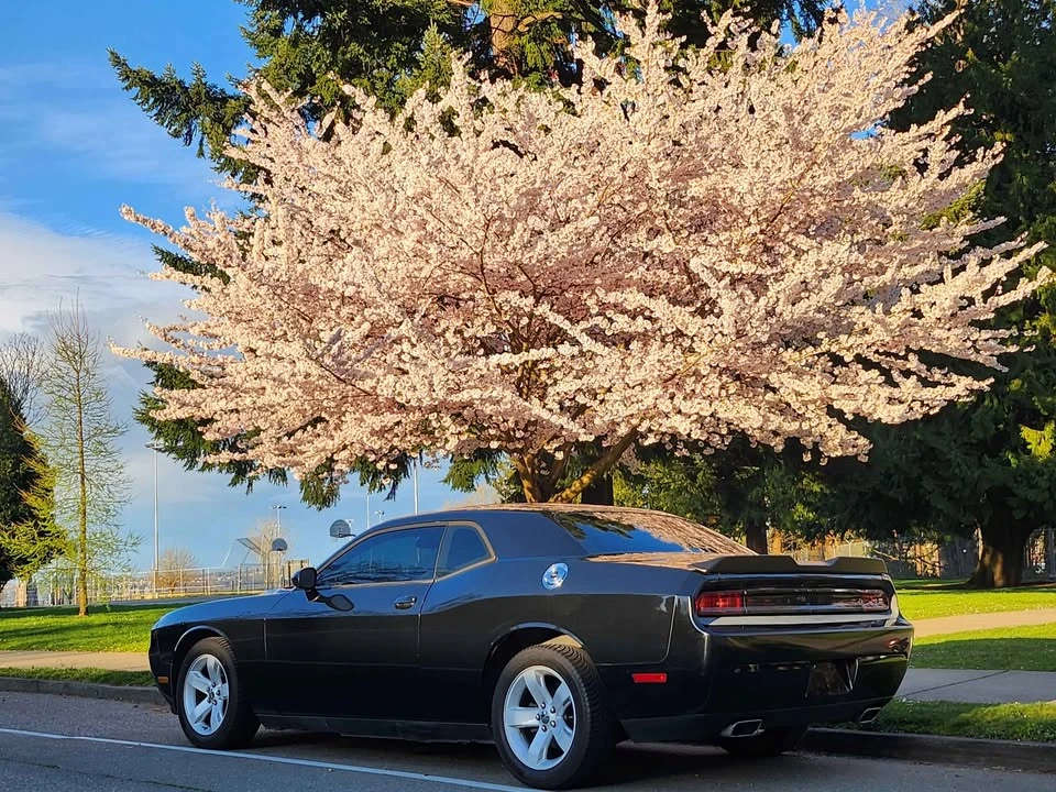 2013 Dodge Challenger 3rd Gen - Image 3 of 11