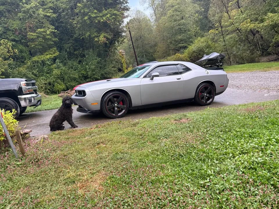 2013 Dodge Challenger 3rd Gen - Image 3 of 6