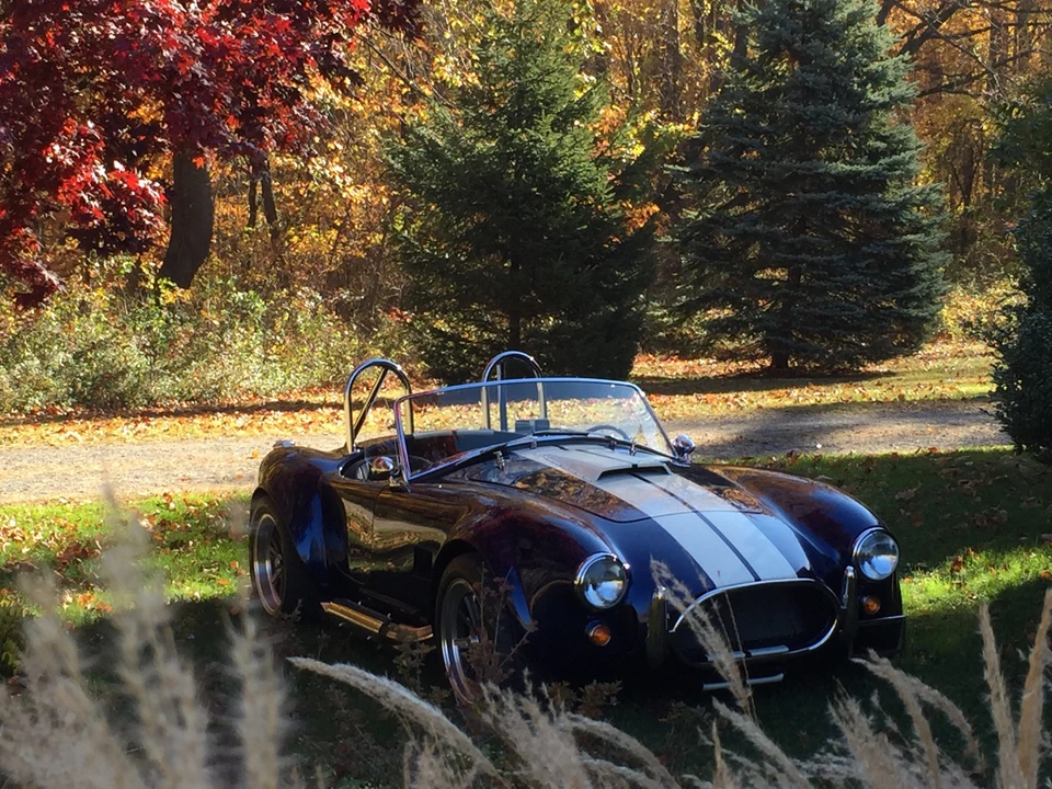 2013 Shelby Cobra Replica - Image 14 of 31