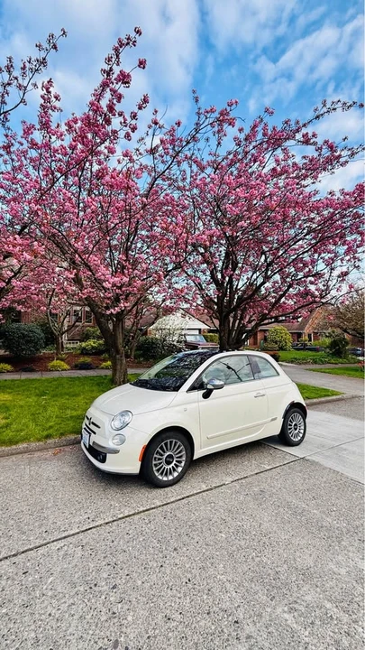 2013 Fiat 500 - Image 3 of 11