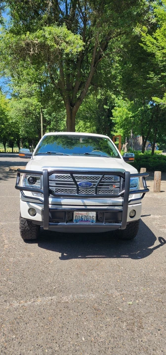2013 Ford F-150 12th Gen - Image 4 of 19