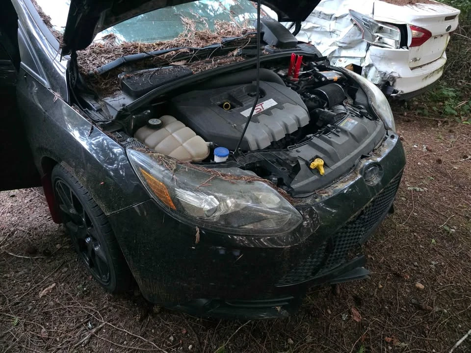 2013 Ford Focus ST 3rd Gen - Image 2 of 3