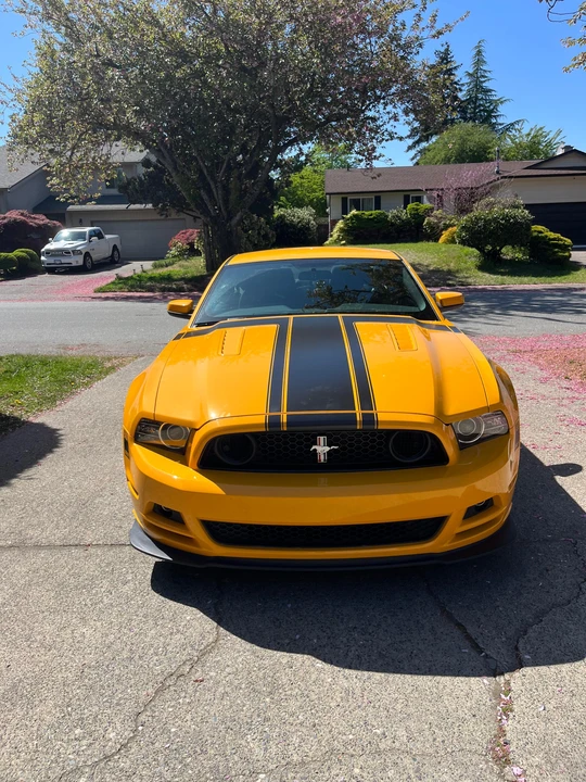 2013 Ford S197 Mustang Boss 302 - Image 11 of 31
