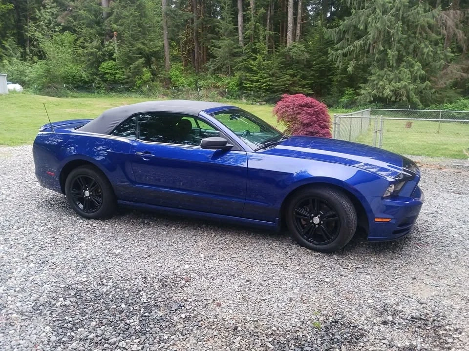 2013 Ford S197 Mustang - Image 4 of 8