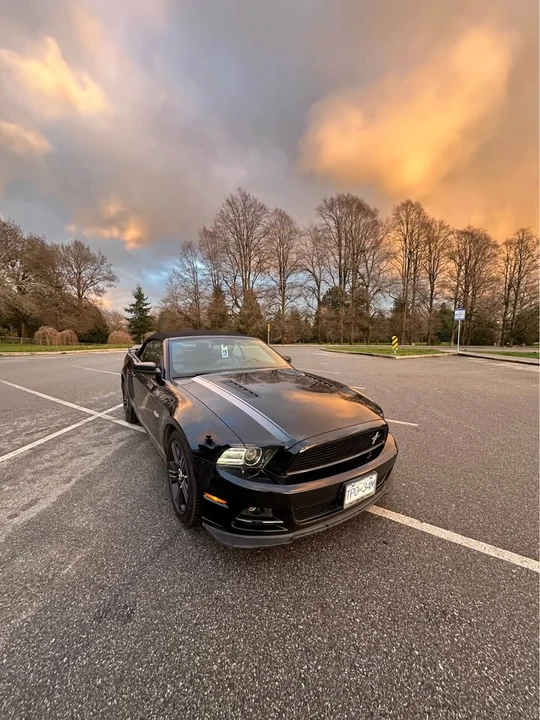 2013 Ford S197 Mustang - Image 2 of 17