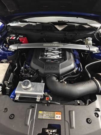 2013 Ford S197 Mustang - Image 13 of 15