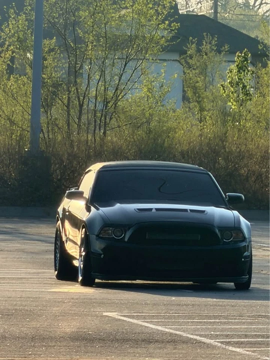 2013 Ford S197 Mustang GT - Image 14 of 16
