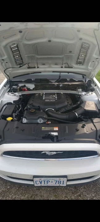 2013 Ford S197 Mustang - Image 7 of 9