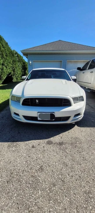 2013 Ford S197 Mustang - Image 3 of 9