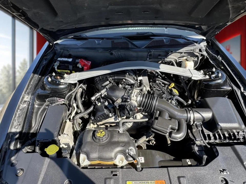 2013 Ford S197 Mustang - Image 11 of 11
