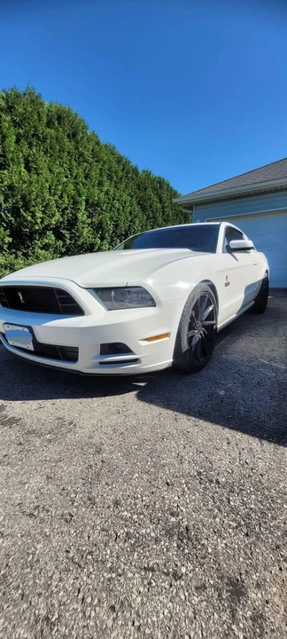 2013 Ford S197 Mustang - Image 2 of 9