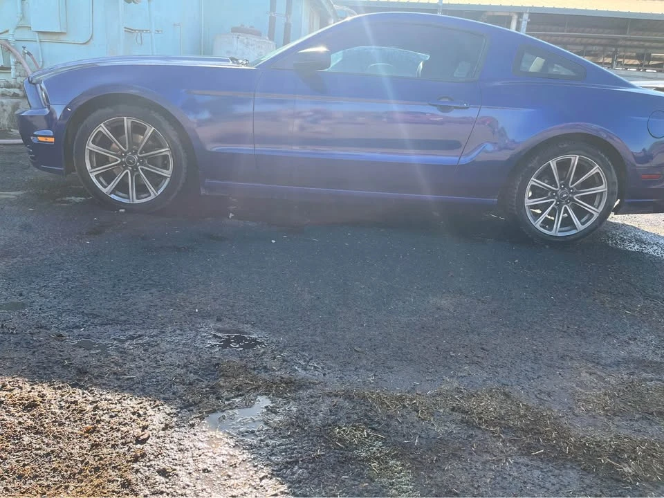 2013 Ford S197 Mustang - Image 4 of 4